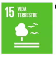 ODS 16 - Vida Terrestre